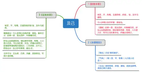 及己_思维导图_中药学_药材来源详解