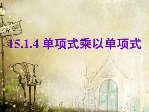 14.1.4单项式乘以单项式