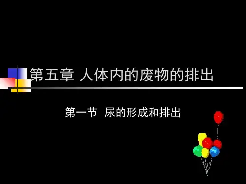 初中生物  尿的形成和排出1 人教版精品课件