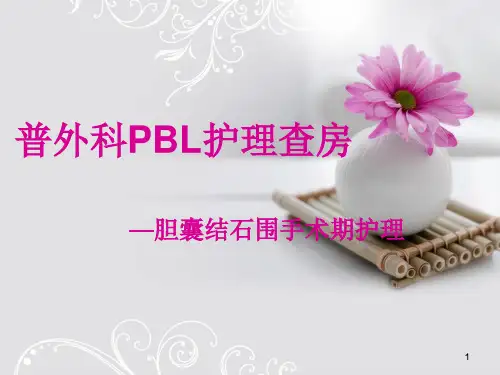 胆结石护理查房精品PPT课件