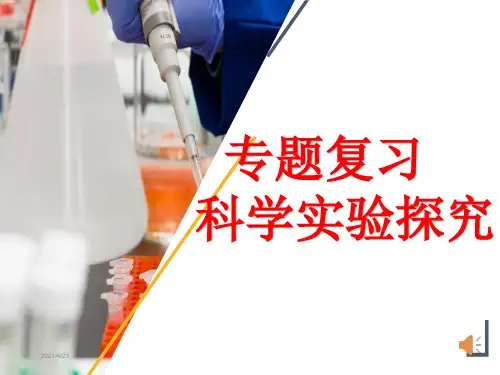 初三中考化学科学实验探究专题复习ppt