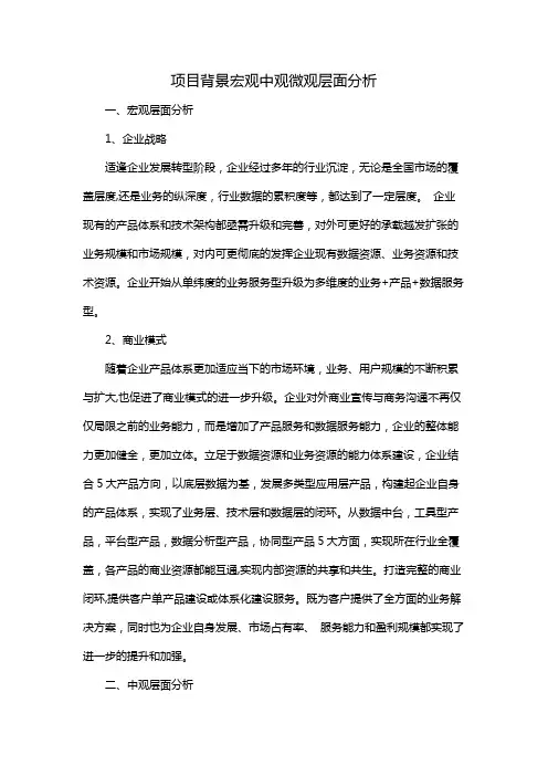 项目背景宏观中观微观层面分析