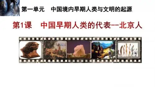 部编人教版七年级历史上第1课 中国境内早期人类的代表——北京人(共29张PPT)