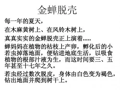 金蝉脱壳(第二课时)