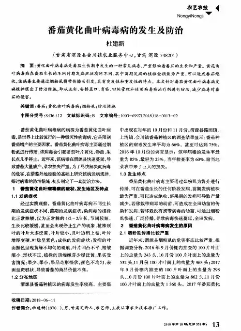 番茄黄化曲叶病毒病的发生及防治