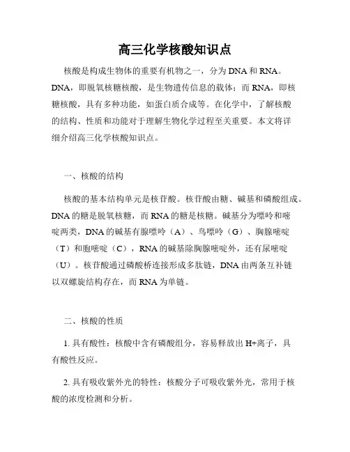 高三化学核酸知识点