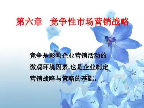 06竞争性市场营销战略PPT课件