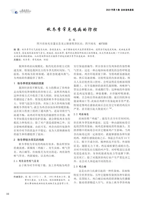 秋冬季常见鸡病的防控