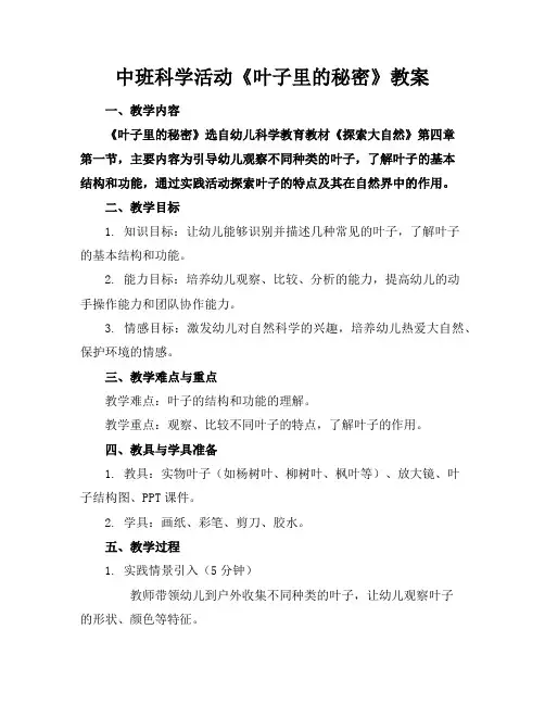 中班科学活动《叶子里的秘密》教案