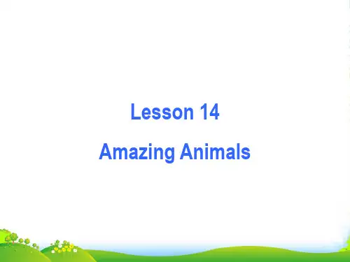 冀教版八年级英语下册Unit 3 14 Amazing Animals精品课件