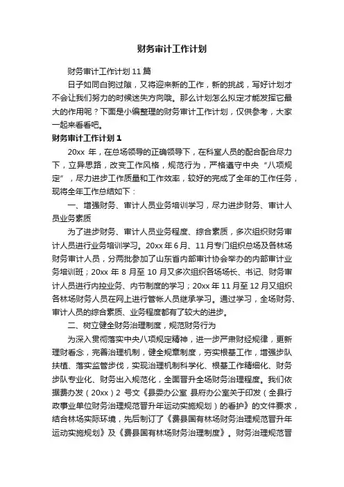 财务审计工作计划11篇