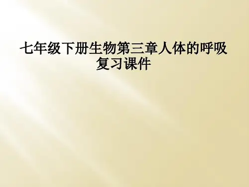 七年级下册生物第三章人体的呼吸复习课件