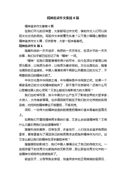 精神追求作文集锦6篇