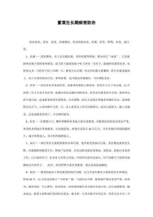 紫菜生长期病害防治