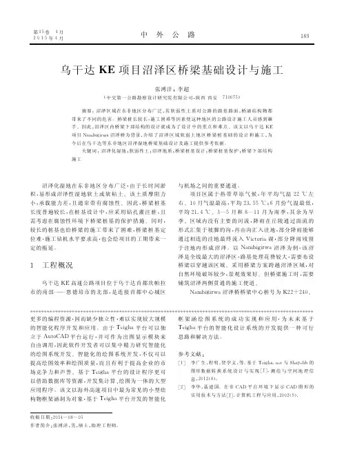 乌干达KE项目沼泽区桥梁基础设计与施工_张溥洋