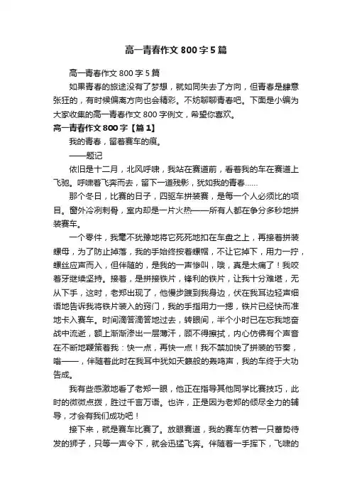 高一青春作文800字5篇