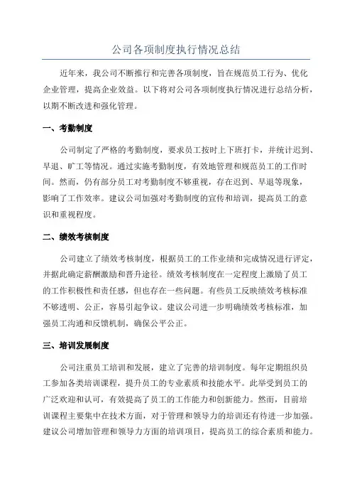 公司各项制度执行情况总结
