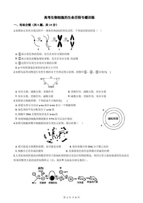 高考生物细胞的生命历程专题训练
