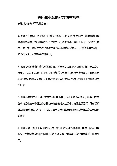 快速栽小葱的好方法有哪些