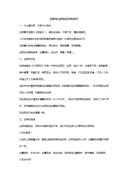 白茶专业的知识点和技巧
