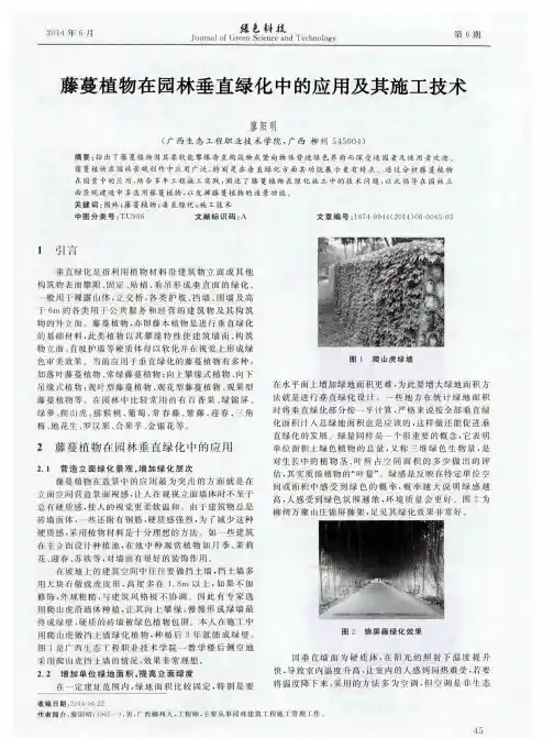 藤蔓植物在园林垂直绿化中的应用及其施工技术