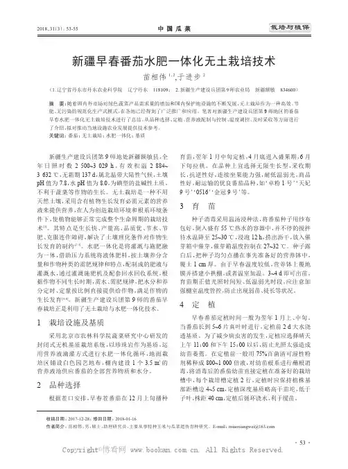 新疆早春番茄水肥一体化无土栽培技术