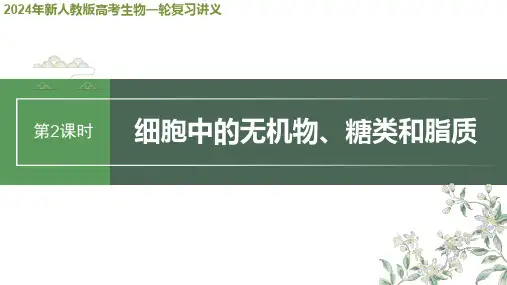 2024年新人教版高考生物一轮复习讲义  第1单元 第2课时 细胞中的无机物、糖类和脂质