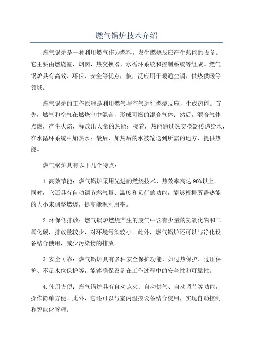 燃气锅炉技术介绍