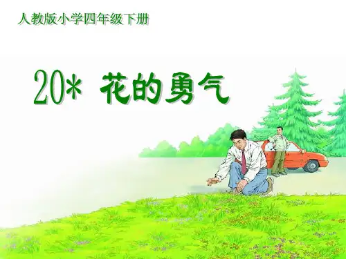 花的勇气课件