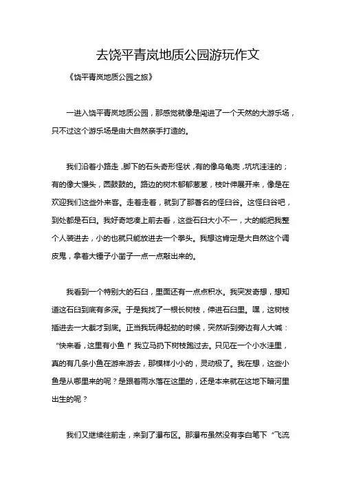 去饶平青岚地质公园游玩作文