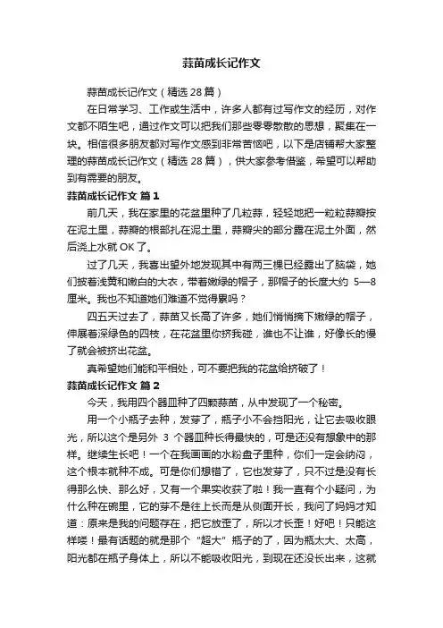 蒜苗成长记作文