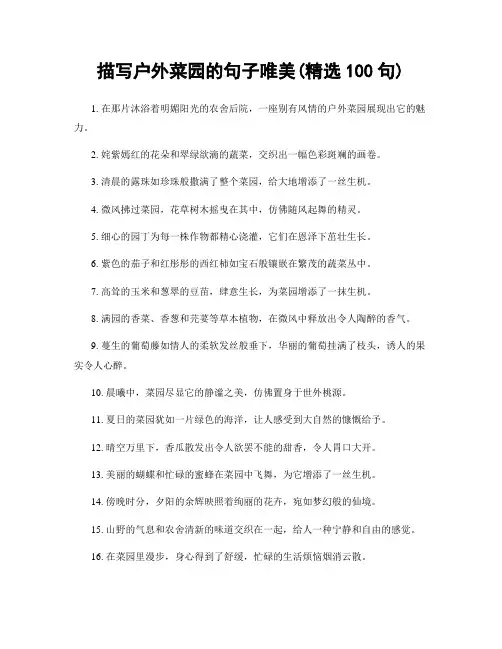描写户外菜园的句子唯美(精选100句)