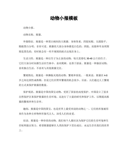 动物小报模板