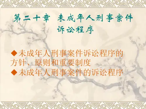 未成年人刑事案件诉讼程序PPT课件