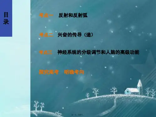 公开课——通过神经系统的调节(一轮复习)