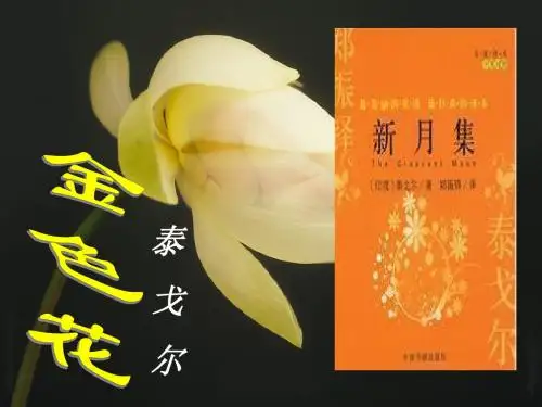 《金色花》教学课件(17张ppt)
