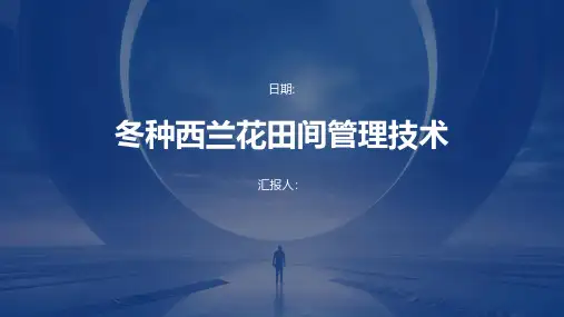 冬种西兰花田间管理技术