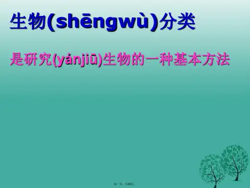 八年级生物上册第六单元第一章第一节尝试对生物进行分类教学课件(新版)新人教版