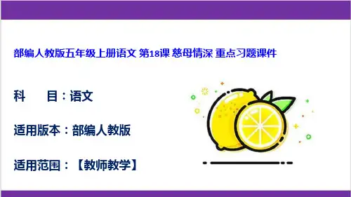部编人教版五年级上册语文 第18课 慈母情深 重点习题课件