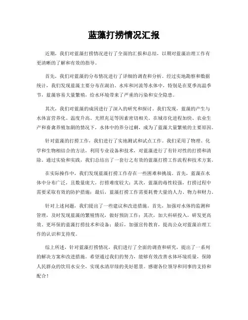蓝藻打捞情况汇报