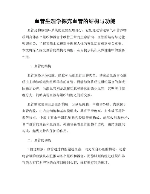 血管生理学探究血管的结构与功能