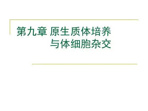 第九章：原生质体培养与体细胞杂交