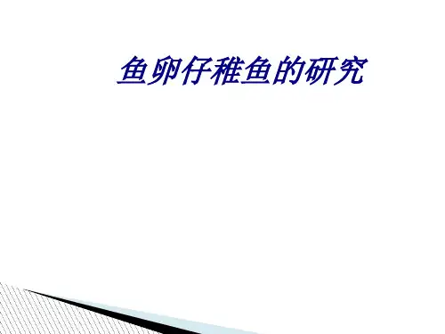鱼卵仔稚鱼的研究课件