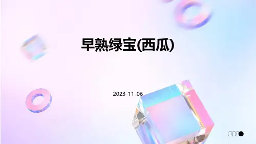 早熟绿宝(西瓜)