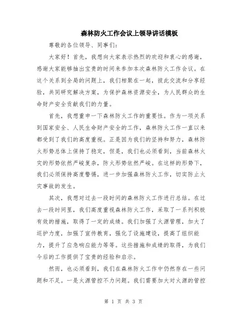 森林防火工作会议上领导讲话模板
