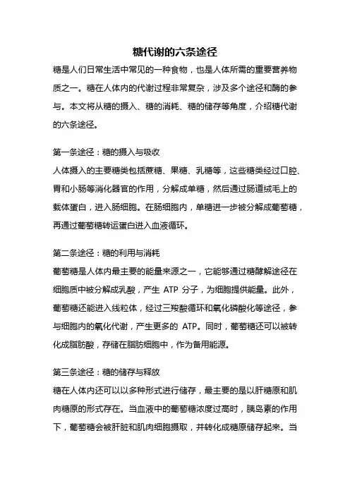 糖代谢的六条途径