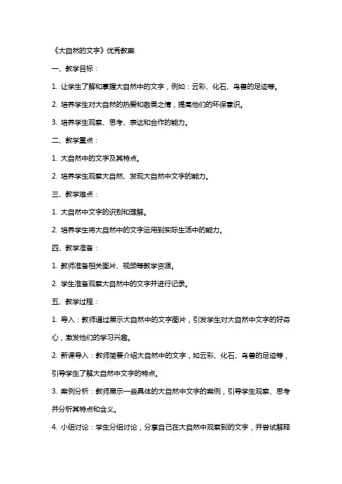 《大自然的文字》教案