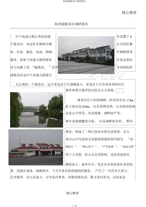 阳澄湖服务区调研报告