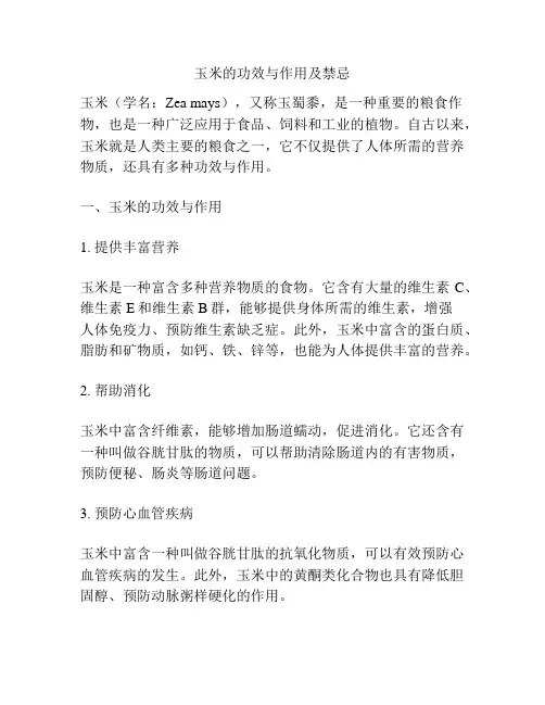 玉米的功效与作用及禁忌