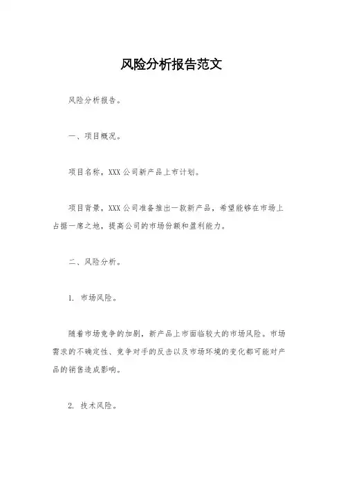 风险分析报告范文